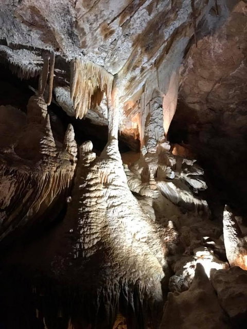 Jenolan Caves And Blue Mountains Tour From Sydney - Northern Rivers Accommodation 14