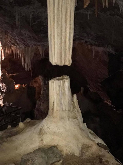 Jenolan Caves And Blue Mountains Tour From Sydney - Northern Rivers Accommodation 15