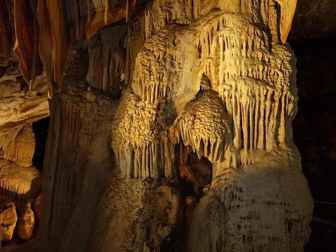 Jenolan Caves And Blue Mountains Tour From Sydney - Northern Rivers Accommodation 9