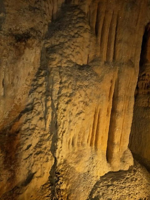 Jenolan Caves And Blue Mountains Tour From Sydney - Northern Rivers Accommodation 7