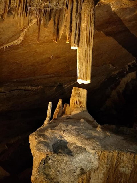 Jenolan Caves And Blue Mountains Tour From Sydney - Northern Rivers Accommodation 8