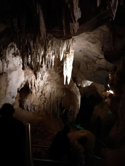 Jenolan Caves And Blue Mountains Tour From Sydney - Northern Rivers Accommodation 10