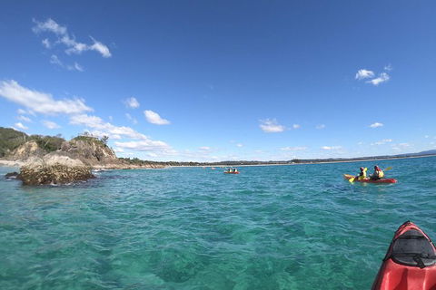 Kayaking With Dolphins In Byron Bay Guided Tour - Northern Rivers Accommodation 15