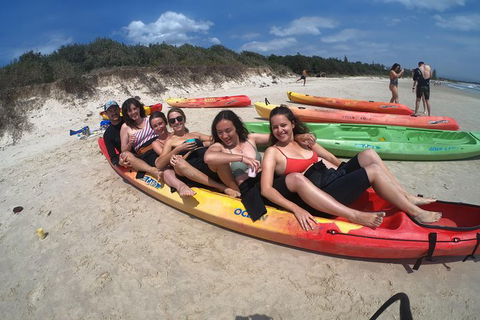 Kayaking With Dolphins In Byron Bay Guided Tour - Northern Rivers Accommodation 6