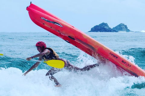 Kayaking With Dolphins In Byron Bay Guided Tour - Northern Rivers Accommodation 12
