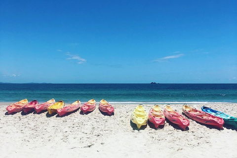 Kayaking With Dolphins In Byron Bay Guided Tour - Northern Rivers Accommodation 20