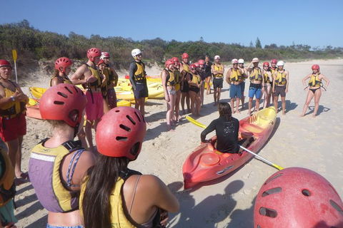 Kayaking With Dolphins In Byron Bay Guided Tour - Northern Rivers Accommodation 4