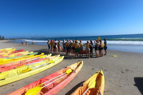 Kayaking With Dolphins In Byron Bay Guided Tour - Northern Rivers Accommodation 17