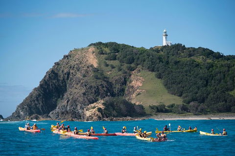 Kayaking With Dolphins In Byron Bay Guided Tour - Northern Rivers Accommodation 2