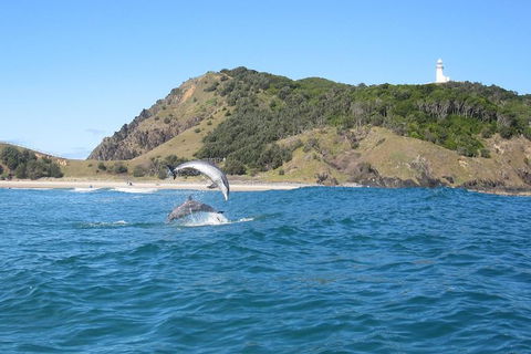 Kayaking With Dolphins In Byron Bay Guided Tour - Northern Rivers Accommodation 8