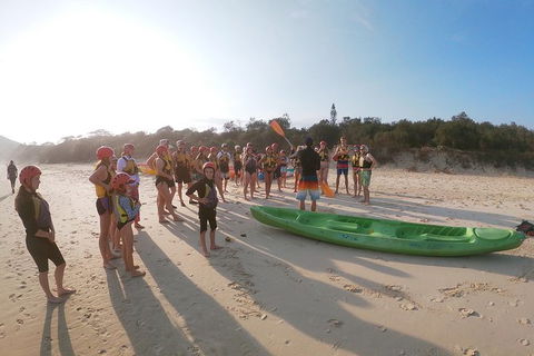 Kayaking With Dolphins In Byron Bay Guided Tour - Northern Rivers Accommodation 11
