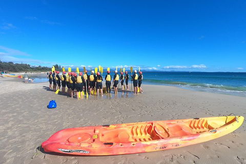 Kayaking With Dolphins In Byron Bay Guided Tour - Northern Rivers Accommodation 3