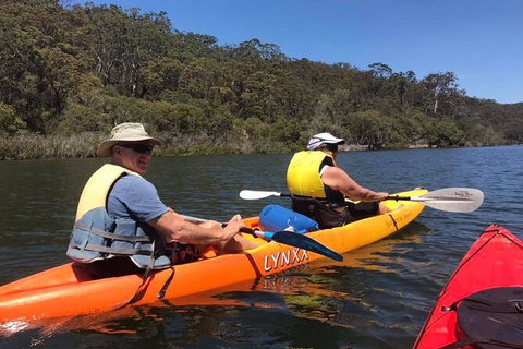 Paddle In Paradise - 4 Hours Double Kayak Hire - Northern Rivers Accommodation 4