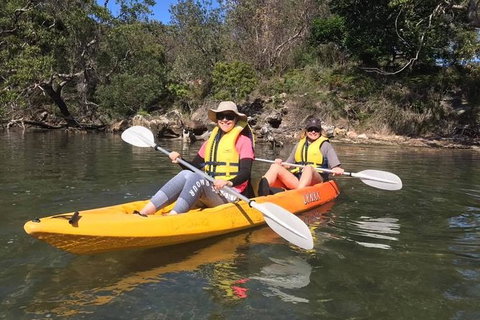 Paddle In Paradise - 4 Hours Double Kayak Hire - Northern Rivers Accommodation 6