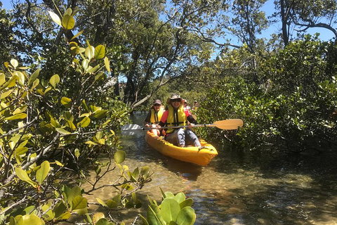 Paddle In Paradise - 4 Hours Double Kayak Hire - Northern Rivers Accommodation 5