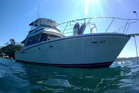 Big Day Out On Sydney Harbour For Small Groups - Northern Rivers Accommodation 4
