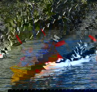 Kayak and SUP Guided Tours - Northern Rivers Accommodation