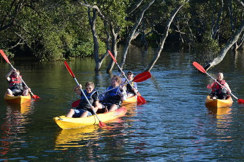 Kayak And SUP Guided Tours - Northern Rivers Accommodation 0