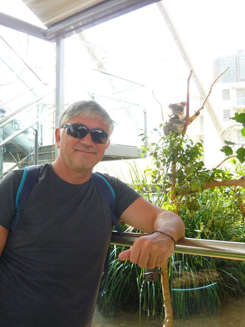Sydney Pass: SEA LIFE Aquarium, Sydney Tower Eye, WILD LIFE Sydney, Sydney Harbour Cruise, And Madame Tussauds - Northern Rivers Accommodation 3