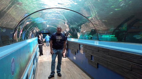 Sydney Pass: SEA LIFE Aquarium, Sydney Tower Eye, WILD LIFE Sydney, Sydney Harbour Cruise, And Madame Tussauds - Northern Rivers Accommodation 5