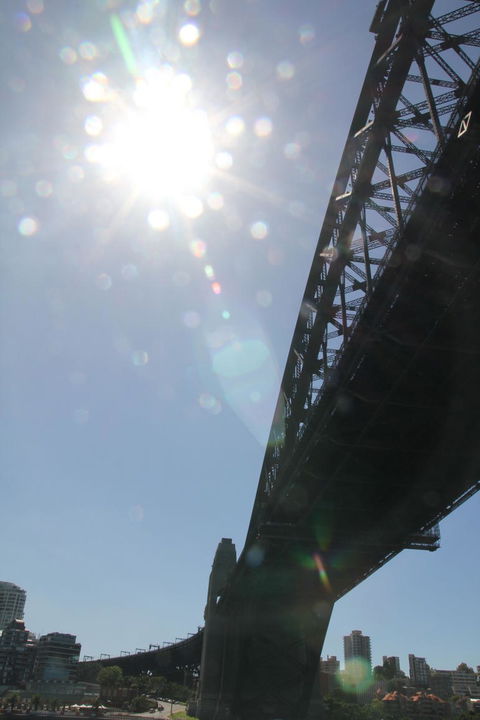 Sydney Pass: SEA LIFE Aquarium, Sydney Tower Eye, WILD LIFE Sydney, Sydney Harbour Cruise, And Madame Tussauds - Northern Rivers Accommodation 20