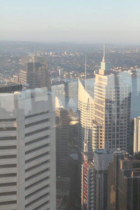 Sydney Pass: SEA LIFE Aquarium, Sydney Tower Eye, WILD LIFE Sydney, Sydney Harbour Cruise, And Madame Tussauds - Northern Rivers Accommodation 18