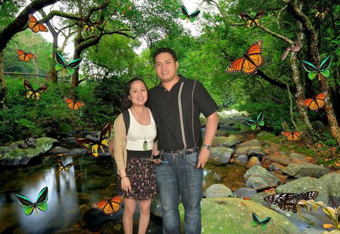 Sydney Pass: SEA LIFE Aquarium, Sydney Tower Eye, WILD LIFE Sydney, Sydney Harbour Cruise, And Madame Tussauds - Northern Rivers Accommodation 11
