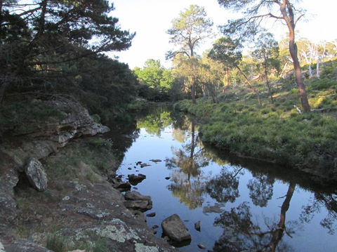 Wild Australian Wildlife 4WD Tour From Sydney - Northern Rivers Accommodation 21