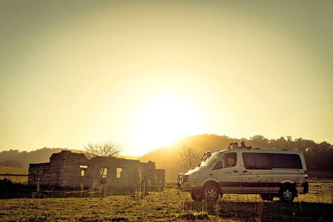 Wild Australian Wildlife 4WD Tour From Sydney - Northern Rivers Accommodation 0