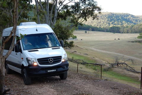 Wild Australian Wildlife 4WD Tour From Sydney - Northern Rivers Accommodation 29