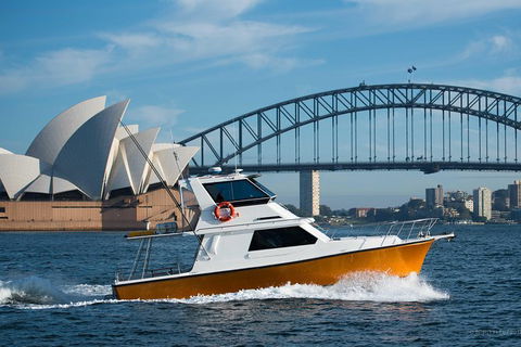 Private Whale Watching Tour Sydney - Luxury Yacht Up To 12 Guests - Northern Rivers Accommodation 0