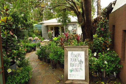 Beyond Byron Hinterland Tour - Northern Rivers Accommodation 2