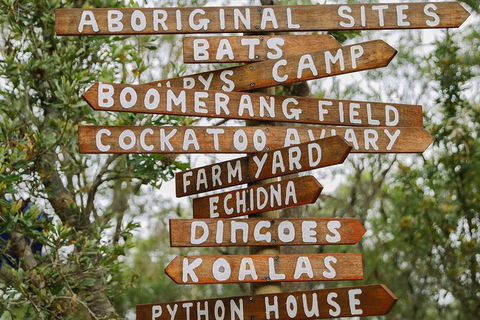Visit Walkabout Wildlife Sanctuary - Northern Rivers Accommodation 1