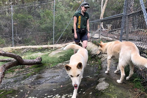 Visit Walkabout Wildlife Sanctuary - Northern Rivers Accommodation 8