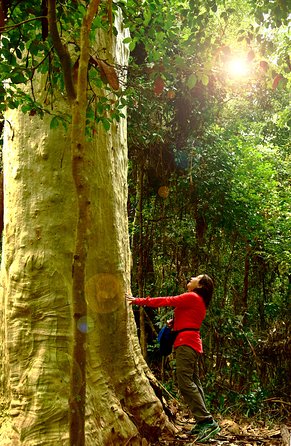 3 Day Murramarang Coast Journey From Batemans Bay With Meals And Villa Accom - Northern Rivers Accommodation 4