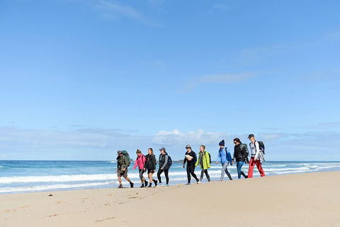 3 Day Murramarang Coast Journey From Batemans Bay With Meals And Villa Accom - Northern Rivers Accommodation 7