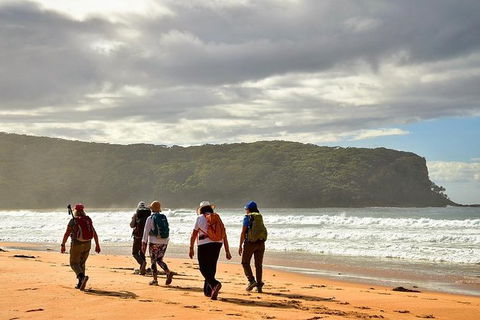 3 Day Murramarang Coast Journey From Batemans Bay With Meals And Villa Accom - Northern Rivers Accommodation 5