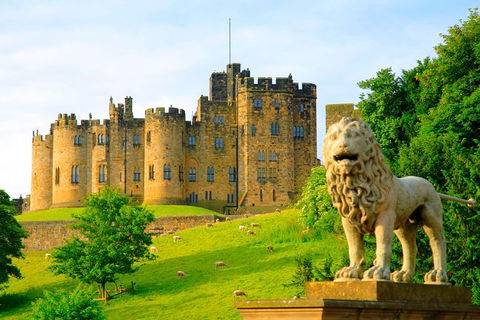 Alnwick Castle Ticket - Northern Rivers Accommodation 1