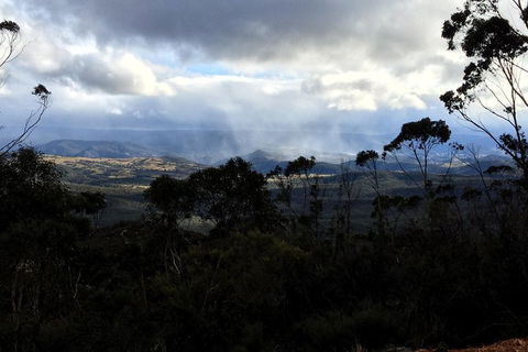 PJ Blue Mountains Trails - Northern Rivers Accommodation 1