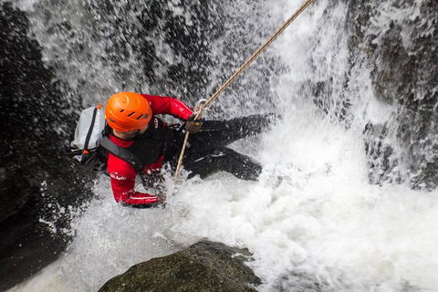 Full Day Sub-Tropical Rainforest Canyoning Adventure From Sydney - Northern Rivers Accommodation 0