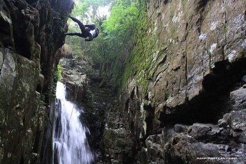 Full Day Sub-Tropical Rainforest Canyoning Adventure From Sydney - Northern Rivers Accommodation 7