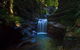 Full Day Sub-Tropical Rainforest Canyoning Adventure From Sydney - thumb 8
