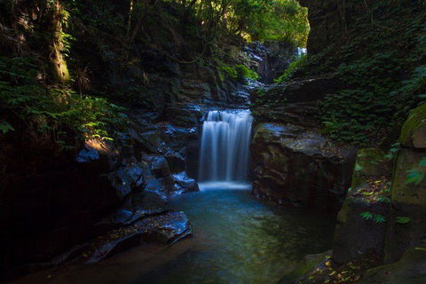 Full Day Sub-Tropical Rainforest Canyoning Adventure From Sydney - Northern Rivers Accommodation 8