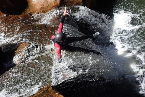 Full Day Sub-Tropical Rainforest Canyoning Adventure From Sydney - Northern Rivers Accommodation 5