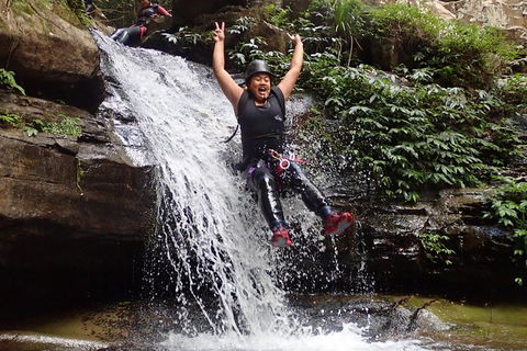 Full Day Sub-Tropical Rainforest Canyoning Adventure From Sydney - Northern Rivers Accommodation 3