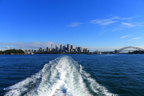 Sydney Whale-Watching Cruise - Northern Rivers Accommodation 4