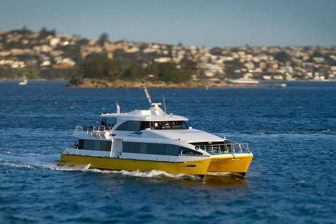 Sydney Whale-Watching Cruise - Northern Rivers Accommodation 1