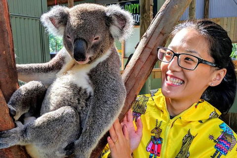 Wildlife Waterfalls And Wine Day Tour From Sydney - Northern Rivers Accommodation 0