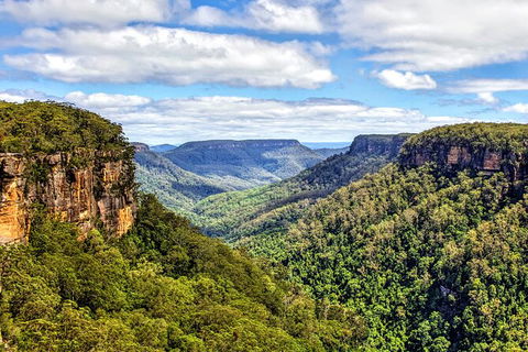 Wildlife Waterfalls And Wine Day Tour From Sydney - Northern Rivers Accommodation 9
