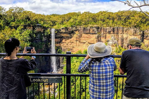 Wildlife Waterfalls And Wine Day Tour From Sydney - Northern Rivers Accommodation 5